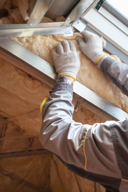 Best Insulation Removal  in Nibley, UT