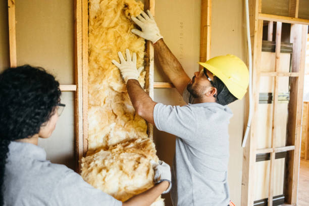 Best Insulation Replacement Services  in Nibley, UT